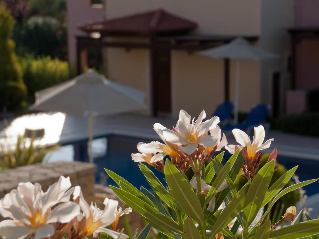 Eligia Villas Mixórrouma Oda fotoğraf